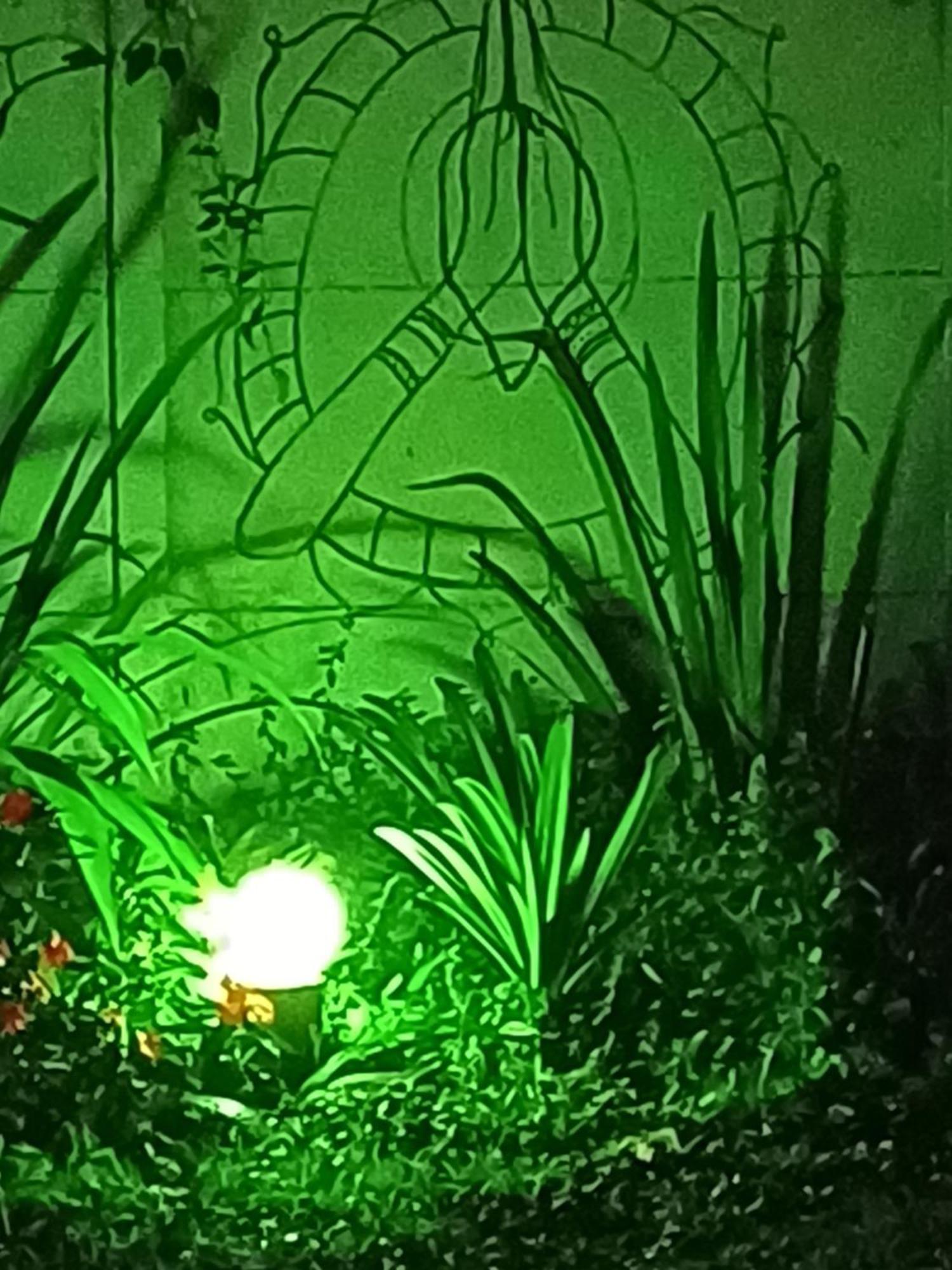 Hospedagem Namaste วิสกอนจิ จิ เมาอา ภายนอก รูปภาพ